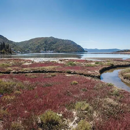 In With Wifi Блаце