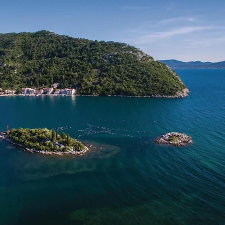 In With Wifi * Блаце