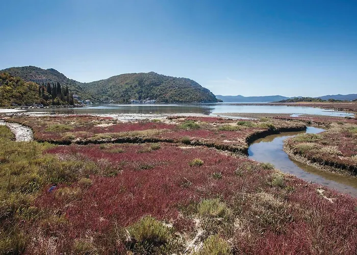 In With Wifi 布拉采