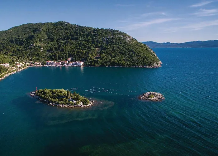 In With Wifi * 布拉采